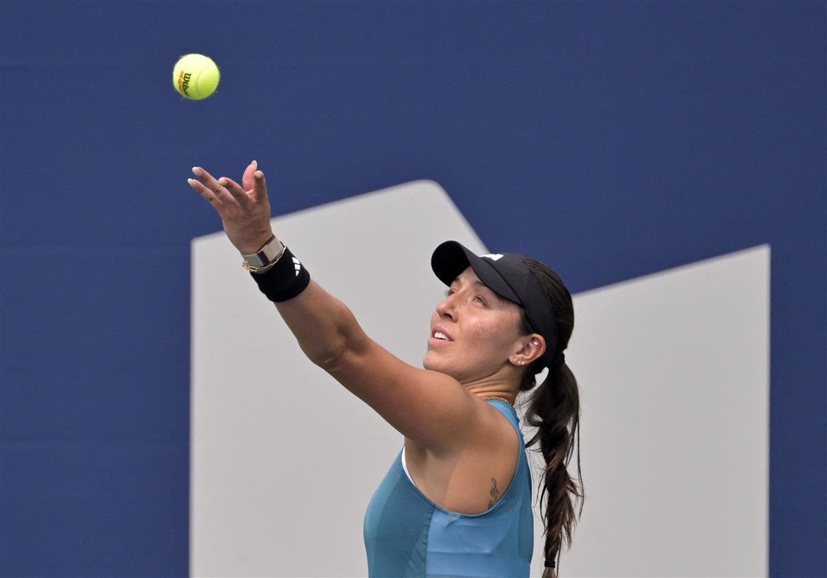 支持AL夺 支持AL夺